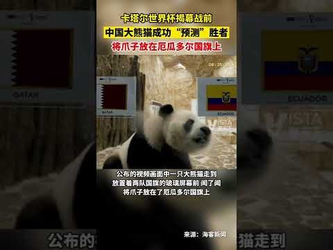 王哲林赛后,医院就诊,略有不适挑,大赢家足球比分网,体育官网,平台入口,足球比分,即时比分,比分直播