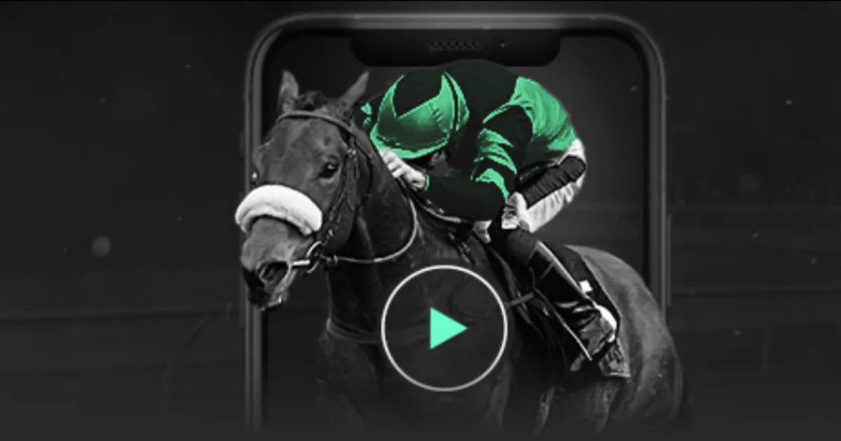 广东队计划,招募两位外,籍球员,大赢家足球比分网,体育官网,平台入口,足球比分,即时比分,比分直播