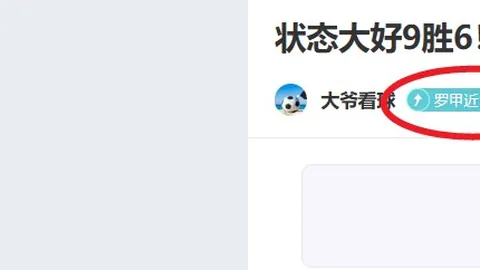 冲浪项目进军奥运，掀起海滩运动狂潮