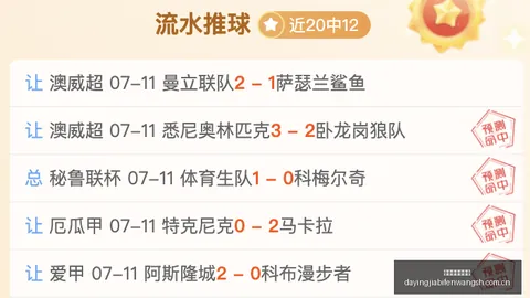 大赢家足球比分 110649