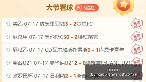 大赢家足球比分 114217