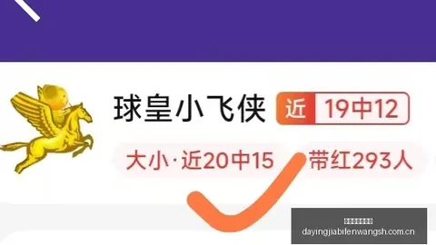 大赢家足球比，体育官网，分 114648 5